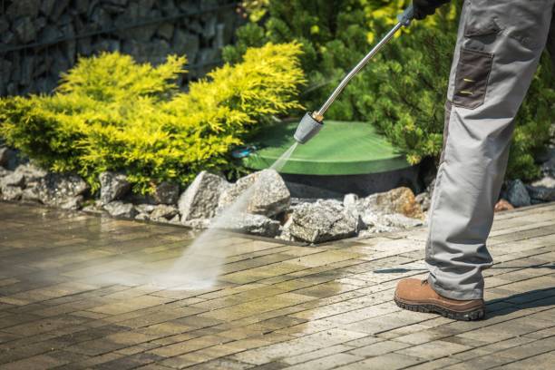 Best Brick and Stone Cleaning in Kerrville, TX